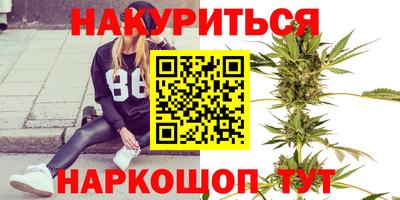 стаф Новокубанск