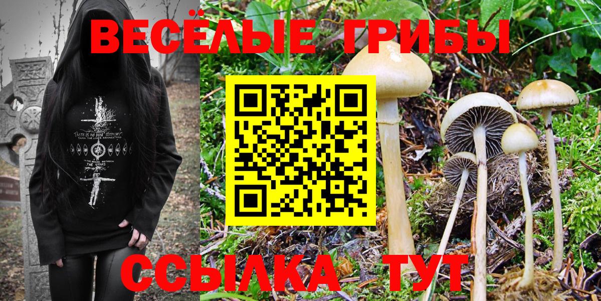 Галлюциногенные грибы MAGIC MUSHROOMS Хабаровск