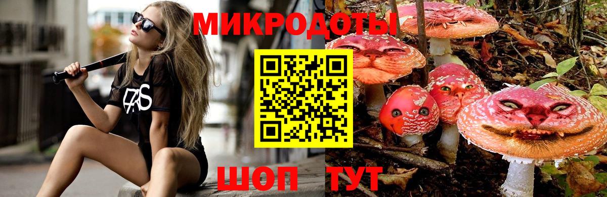 Хабаровск  купить закладку  Вход с VPN  Галлюциногенные грибы мухоморы 